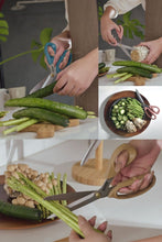 Load image into Gallery viewer, Arsenal Dessert 9" / 232mm Long Blade Home Scissors