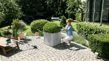 Load image into Gallery viewer, Bosch ISIO 3.6V Cordless Grass Shear c/w Alligator Blade