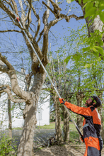 Load image into Gallery viewer, Bahco Top Pruners with Triple Pulley Action P34-37