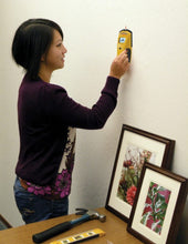 Load image into Gallery viewer, Zircon StudSensor e50