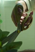 Load image into Gallery viewer, Arsenal Dessert 9" / 232mm Long Blade Home Scissors
