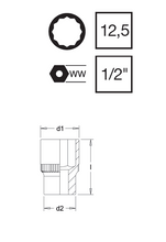 Load image into Gallery viewer, Elora Bi-Hex Socket Chrome Plated 1/2&quot; Square Drive 3/8&quot; W
