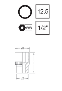 Elora Bi-Hex Socket Chrome Plated 1/2" Square Drive 9/16" W