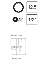 Load image into Gallery viewer, Elora Bi-Hex Socket Chrome Plated 1/2&quot; Square Drive 1.3/16&quot; AF
