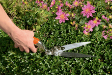 Load image into Gallery viewer, Bahco 3-Positions Grass Shears with Plastic Sleeve Handle GS-76
